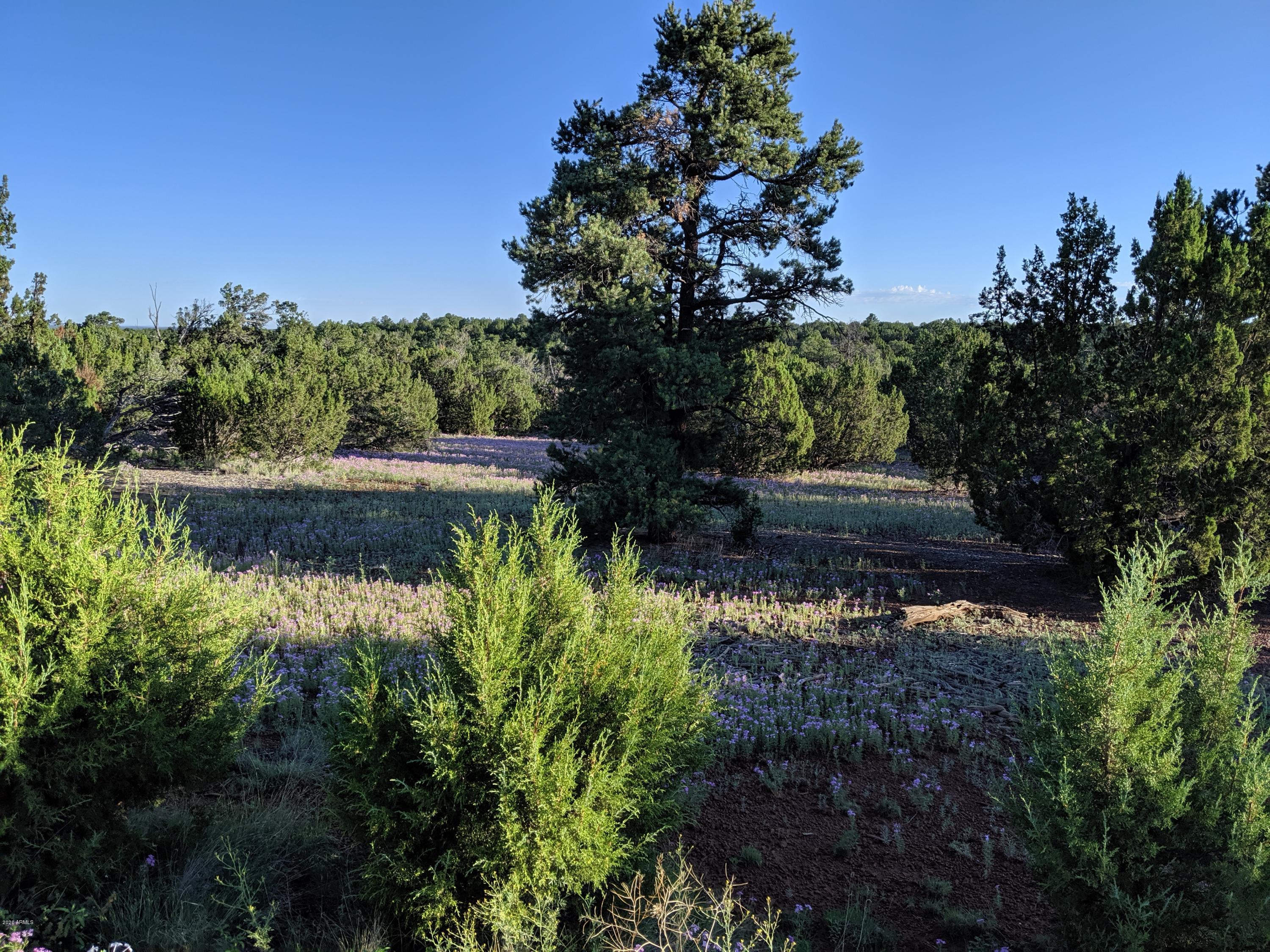 Lot 32 Ricks Road, Unit 32 Concho, AZ 85924 - Photo 2 of 5 lot 32