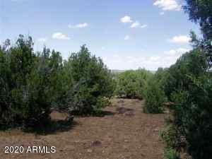 Lot 32 Ricks Road, Unit 32 Concho, AZ 85924 - Photo 4 of 5 clean parcel