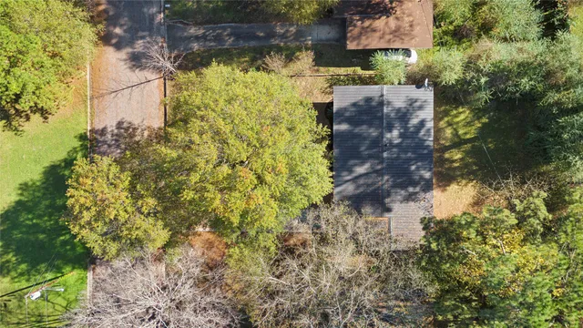 a view of a yard with plants