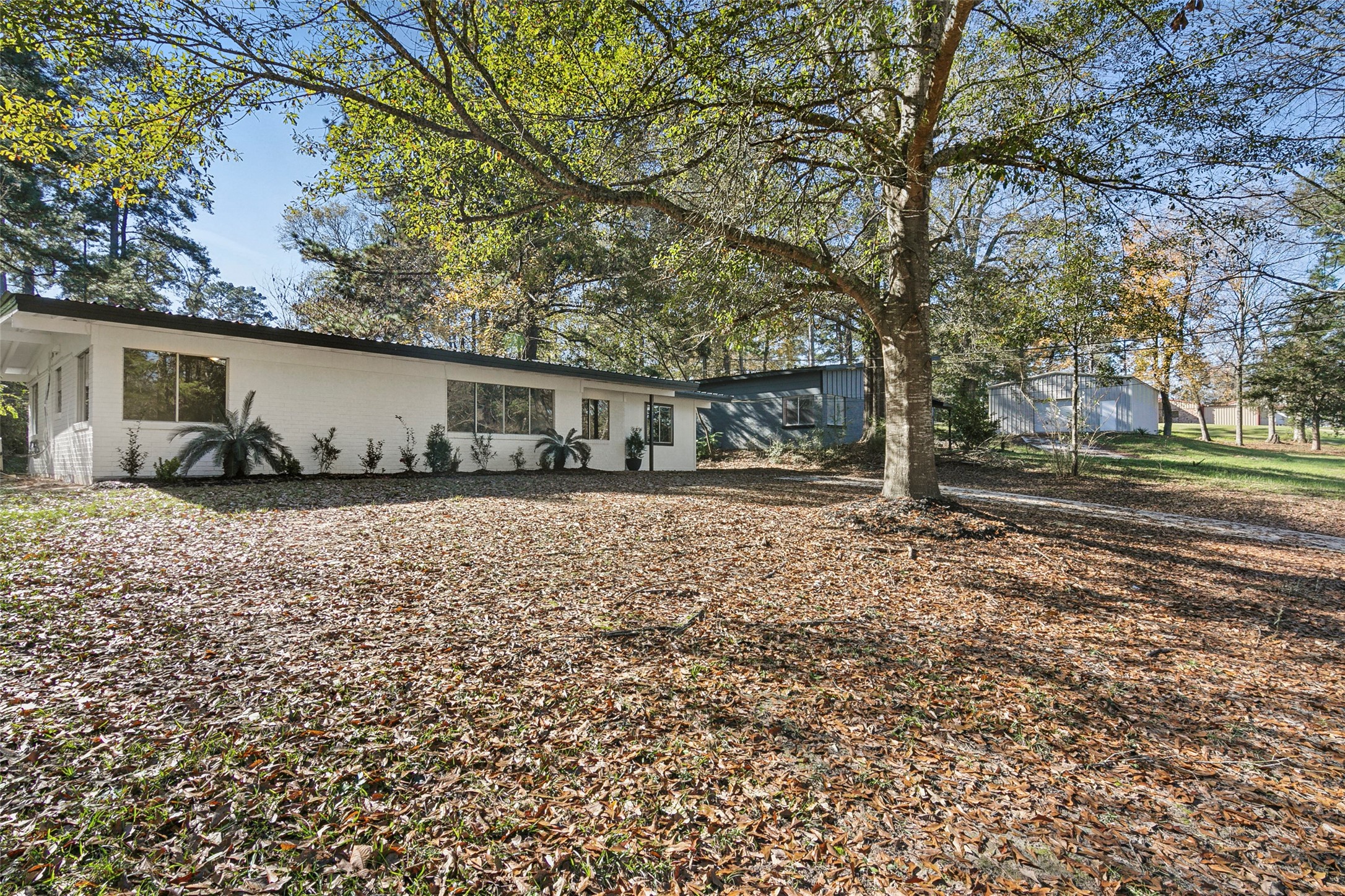 217 Tonahill Street Jasper, TX 75951 - Photo 7 of 32