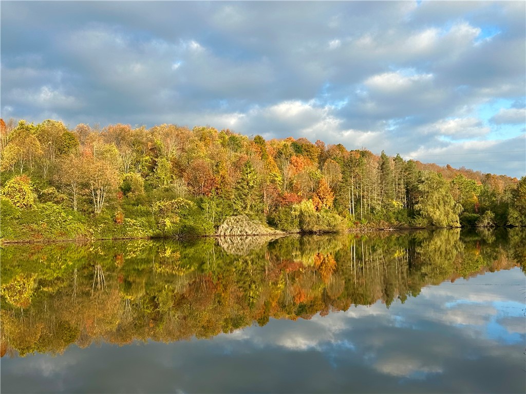 5191 County Route Cameron, NY 14819 - Photo 12 of 50