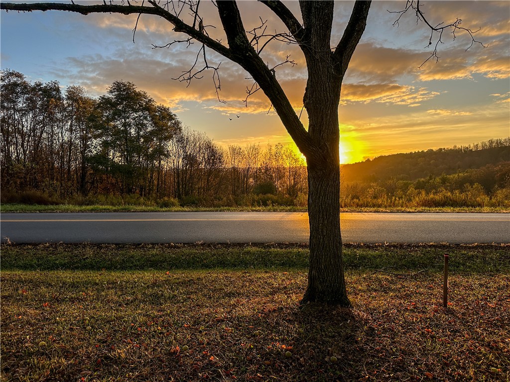 5191 County Route Cameron, NY 14819 - Photo 8 of 50