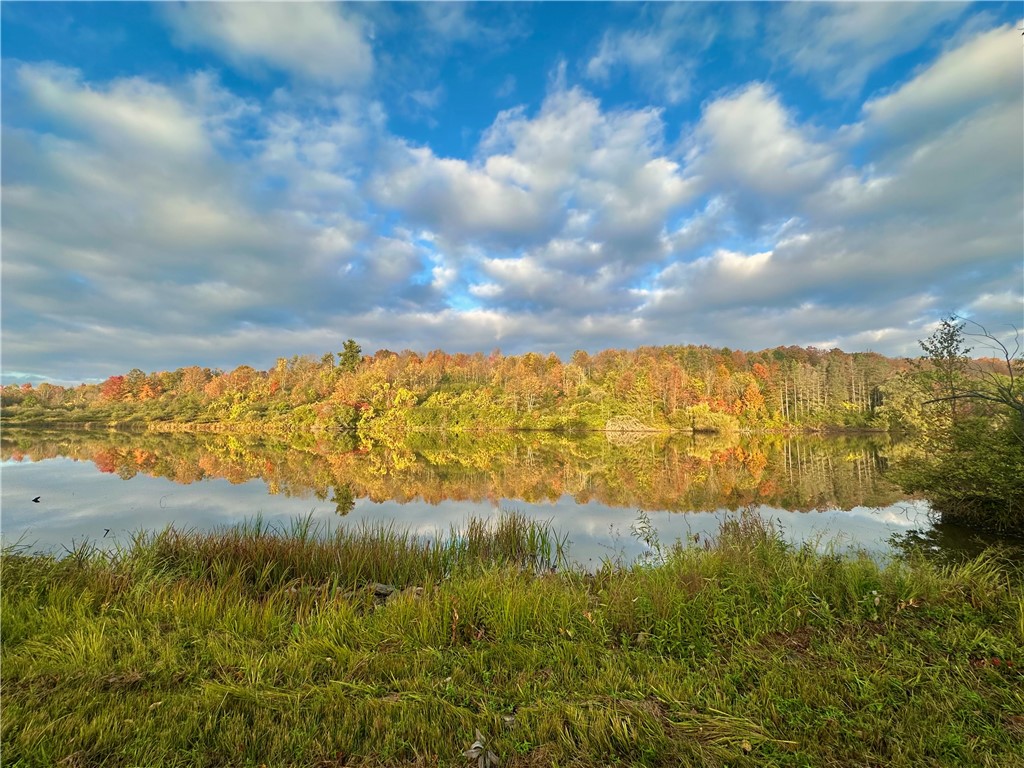 5191 County Route Cameron, NY 14819 - Photo 10 of 50