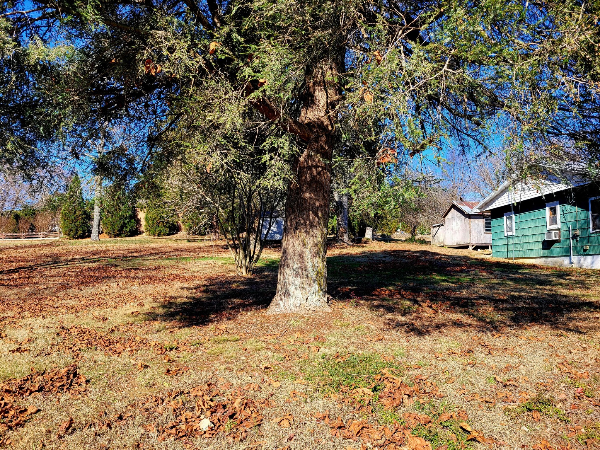 204 Guthrie Road Athens, TN 37303 - Photo 7 of 29 Gallery Image 7
