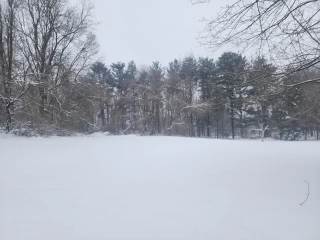 $199,900 | 25113 12th Avenue, Gobles, MI 49055