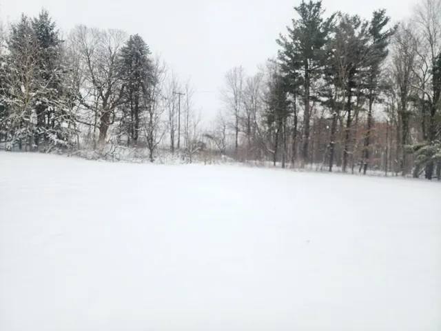 $199,900 | 25113 12th Avenue, Gobles, MI 49055