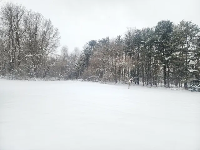 $199,900 | 25113 12th Avenue, Gobles, MI 49055