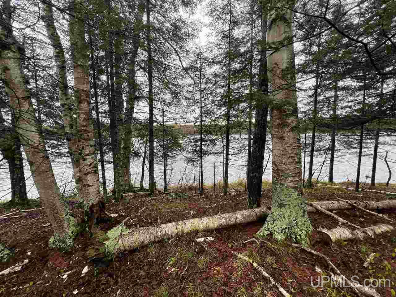 366 South Shore Road Crystal Falls, MI 49920 - Photo 5 of 9