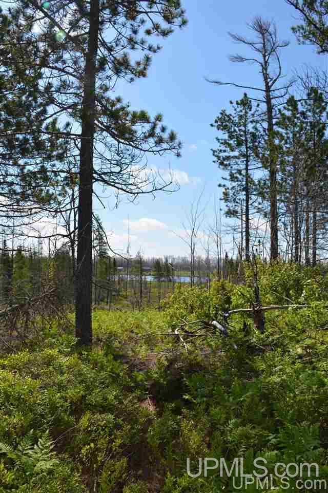 0 Off Co Road, Unit LITTLE PIKE LAKE Newberry, MI 49868 - Photo 3 of 11