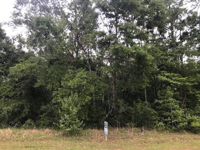 9 Imperial Lane Stapleton, AL 36578 - Photo 1 of 1