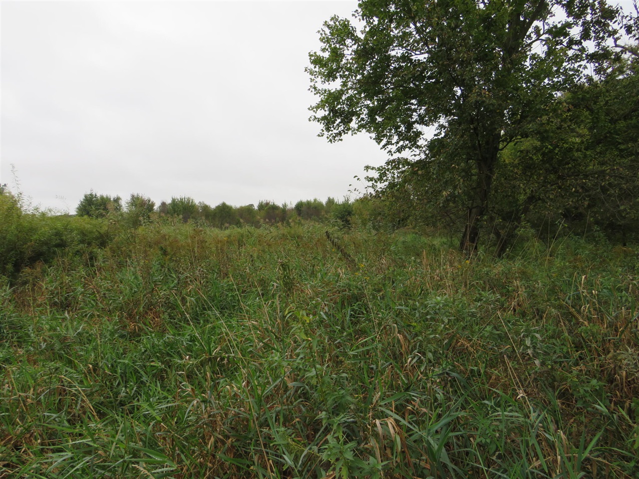 Vl Mcclure Road Eaton Rapids, MI 48827 - Photo 27 of 72
