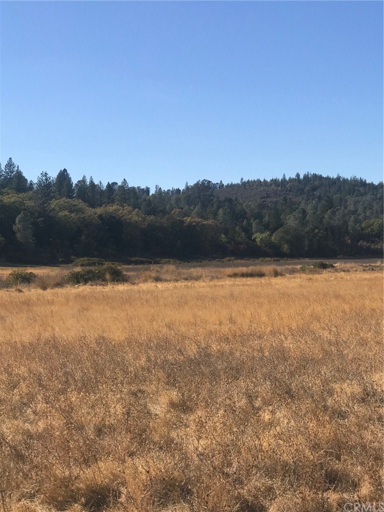 14407 Spruce Grove Road Lower Lake, CA 95457 - Photo 1 of 1 Gallery Image 1