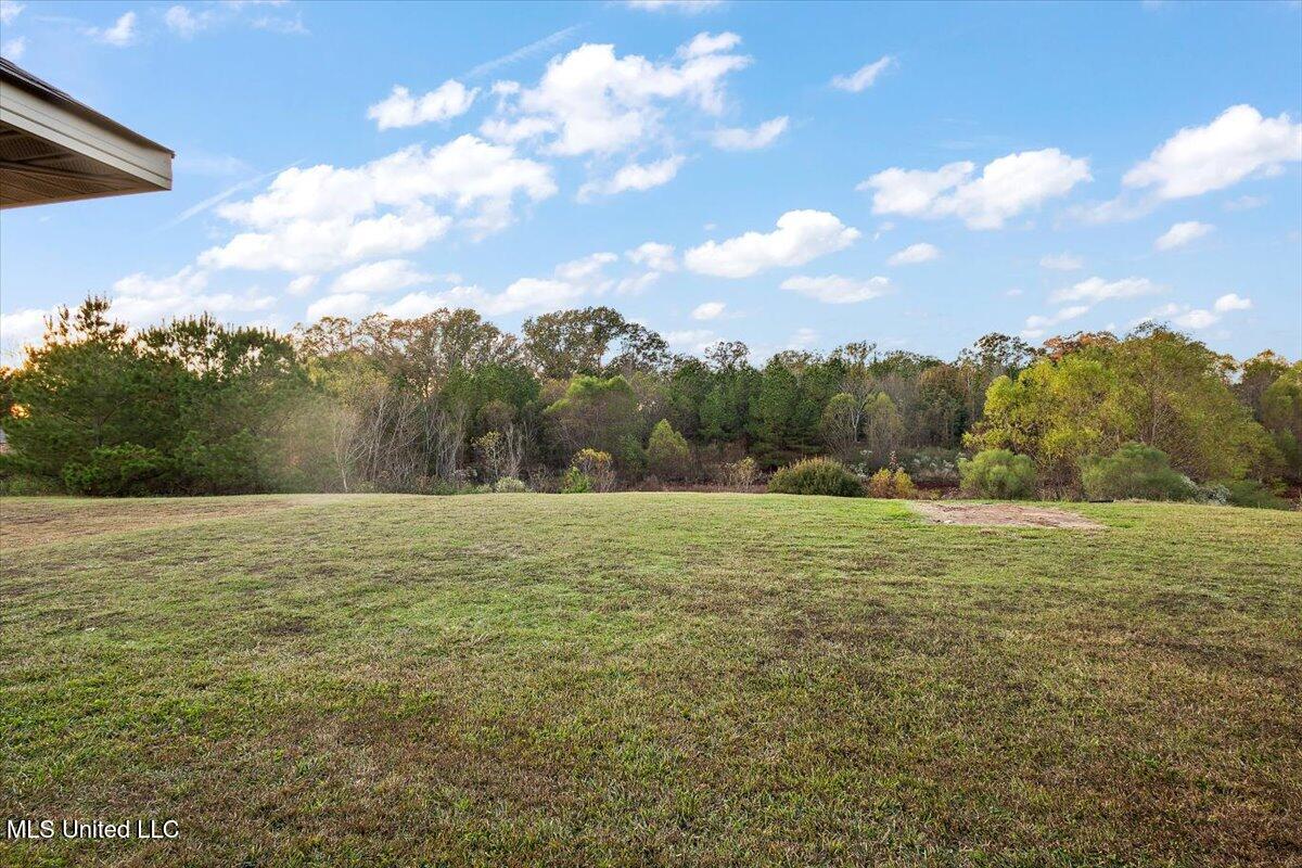 608 Carson Drive Byram, MS 39272 - Photo 24 of 26 25-HTP_4138
