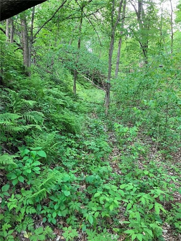N3953-201 Bear Pen Road Arkansaw, WI 54721 - Photo 11 of 43
