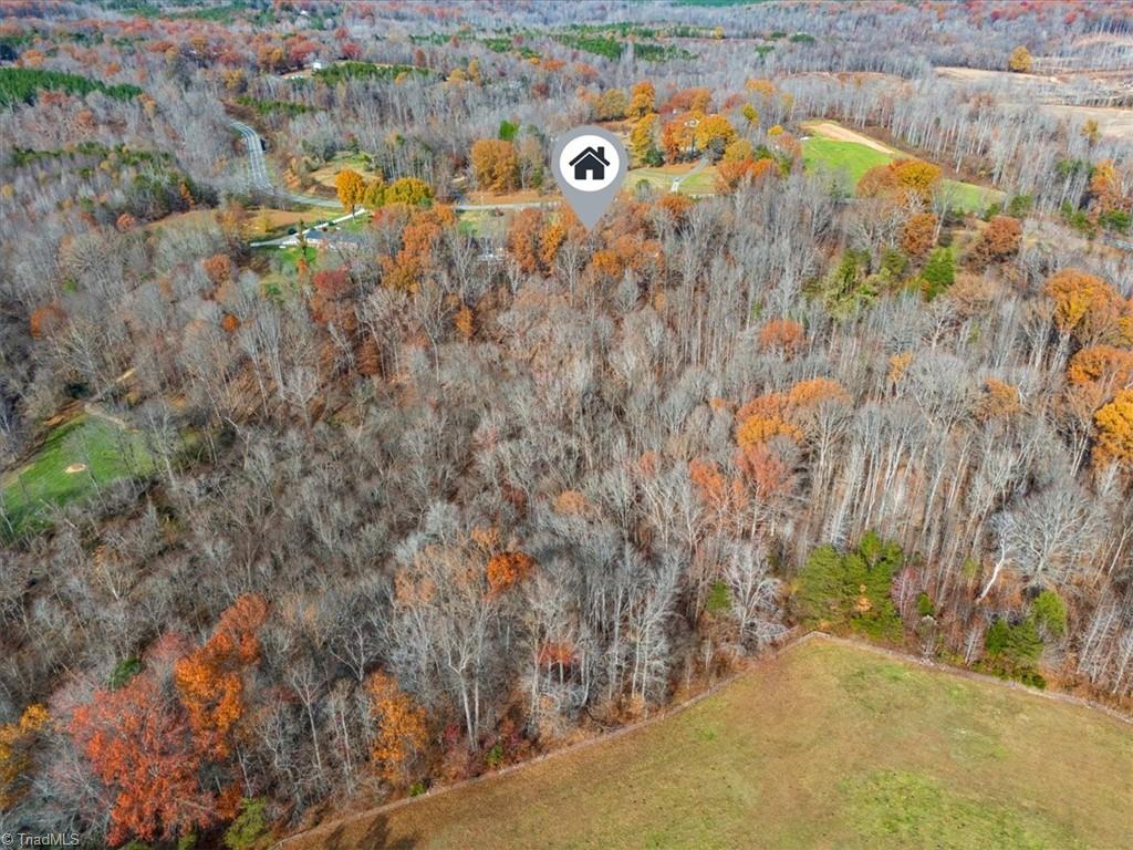 830 Worsham Mill Road Ruffin, NC 27326 - Photo 14 of 19