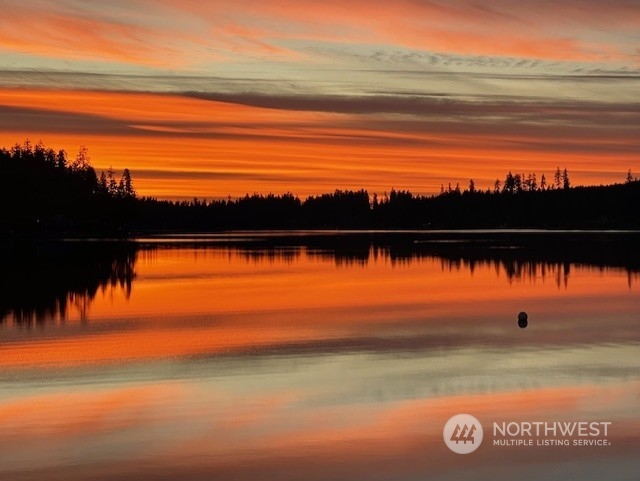 10 Shore Court Grapeview, WA 98546 - Photo 39 of 39 a view of an ocean and beach