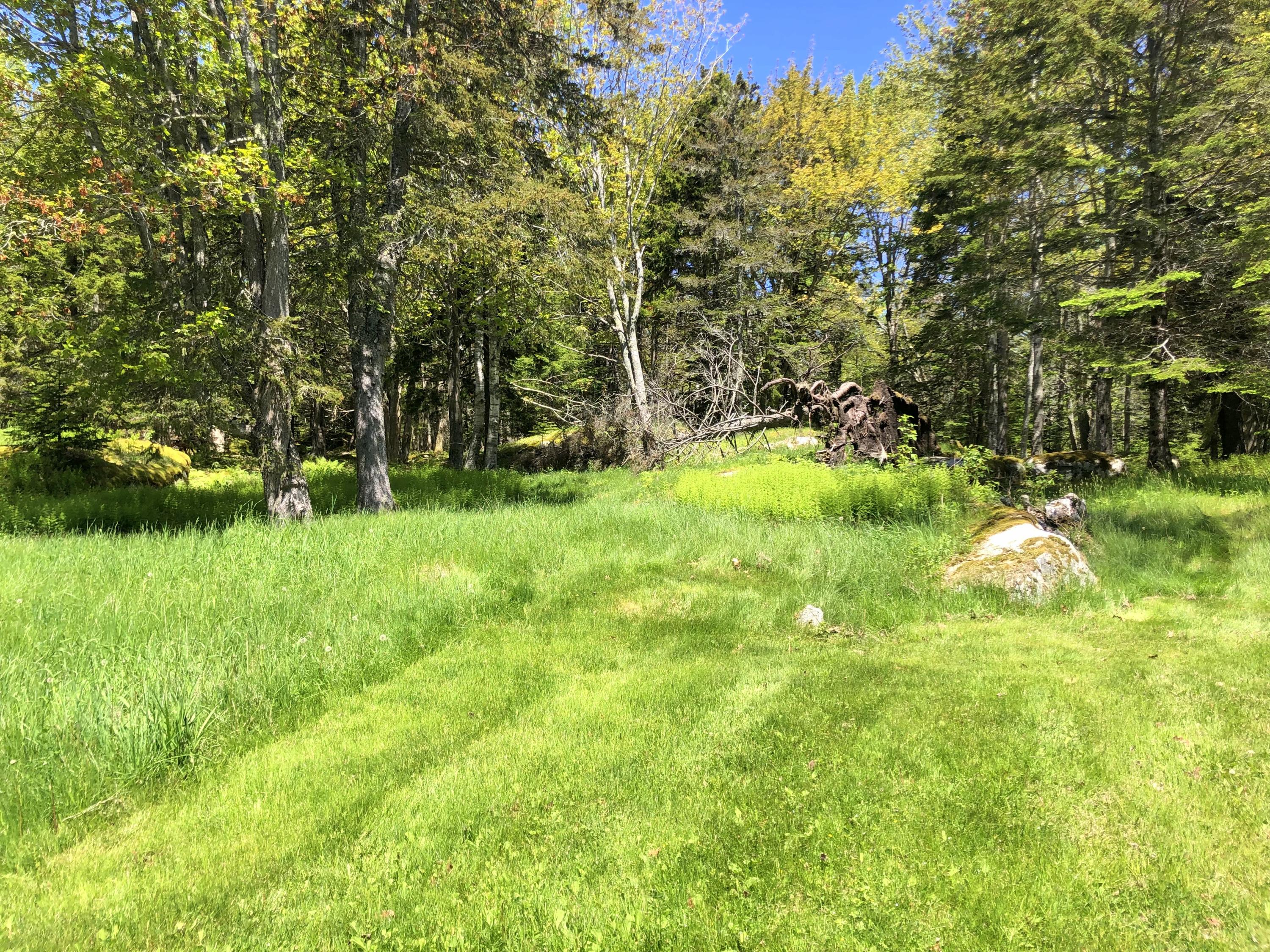 18 Dyer Point Road Owls Head, ME 04854 - Photo 26 of 26 Back Land