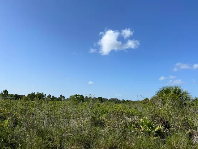 a view of a lake with a big yard