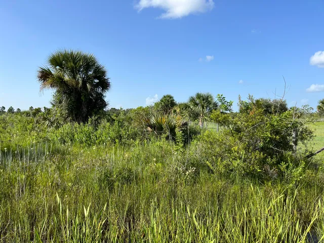 a view of a lake with a yard