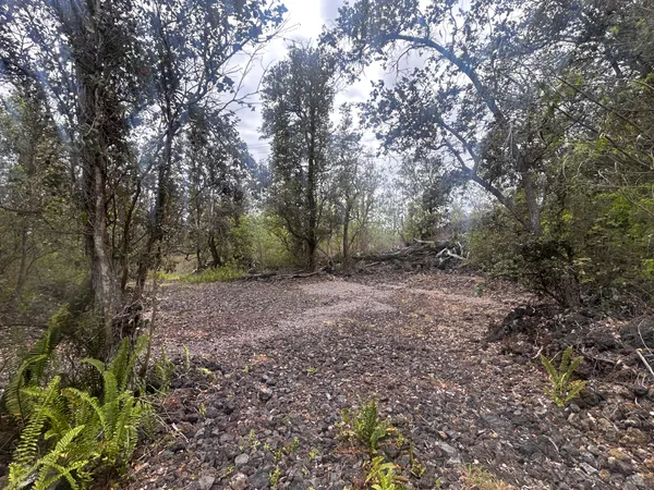 $40,000 | 92-8712 King Kamehameha Boulevard, Ocean View, HI 96704