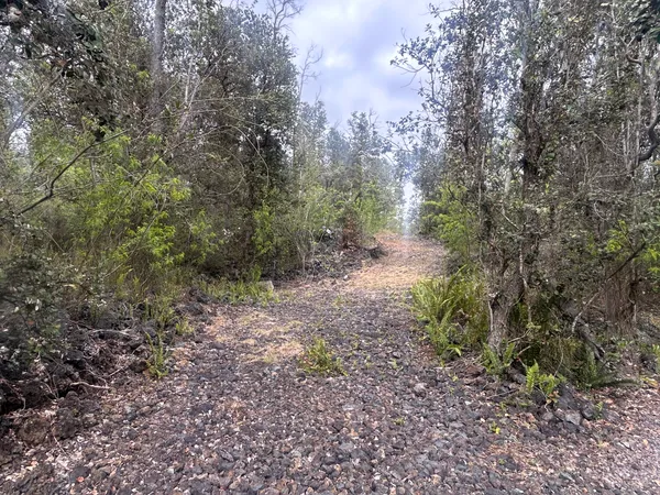 $40,000 | 92-8712 King Kamehameha Boulevard, Ocean View, HI 96704