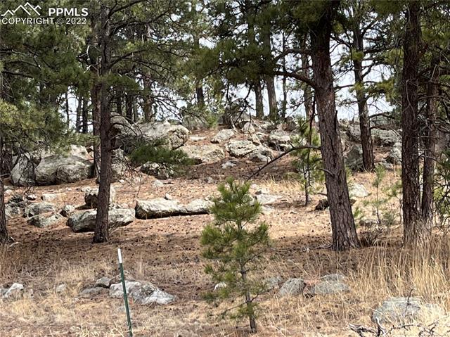 15720 Hopper Road Peyton, CO 80831 - Photo 46 of 49