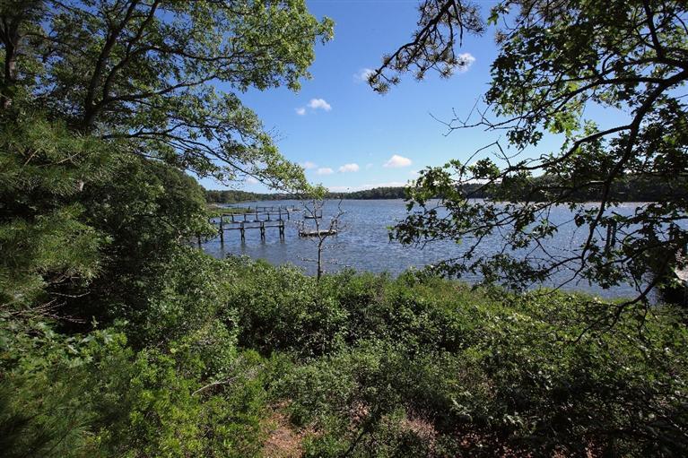 5 Mute Swan Circle Mashpee, MA 02649 - Photo 32 of 34 a view of a garden with an tree