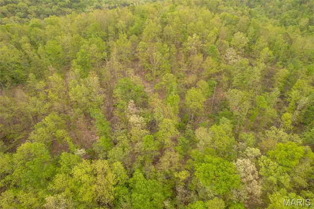 $674,900 | 5754 Wayne 421 Mill Spring, Mill Spring, MO 63952