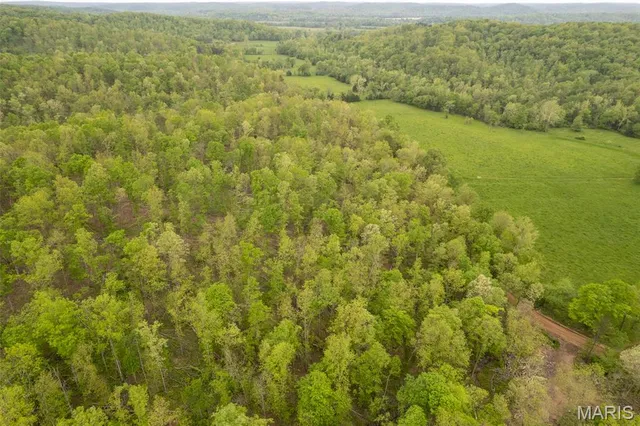 $674,900 | 5754 Wayne 421 Mill Spring, Mill Spring, MO 63952