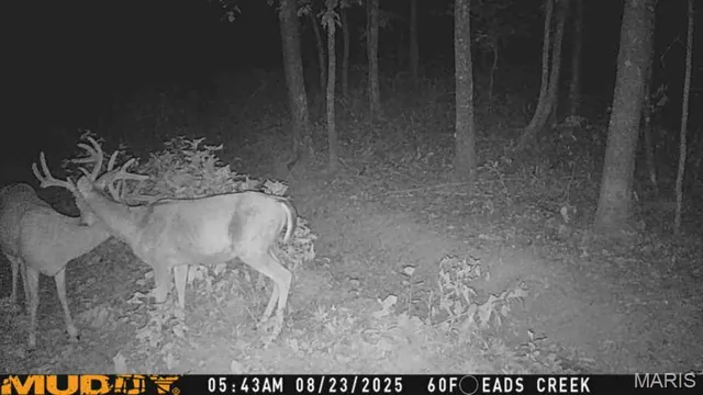 $674,900 | 5754 Wayne 421 Mill Spring, Mill Spring, MO 63952