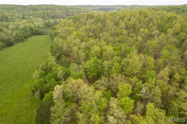 $674,900 | 5754 Wayne 421 Mill Spring, Mill Spring, MO 63952