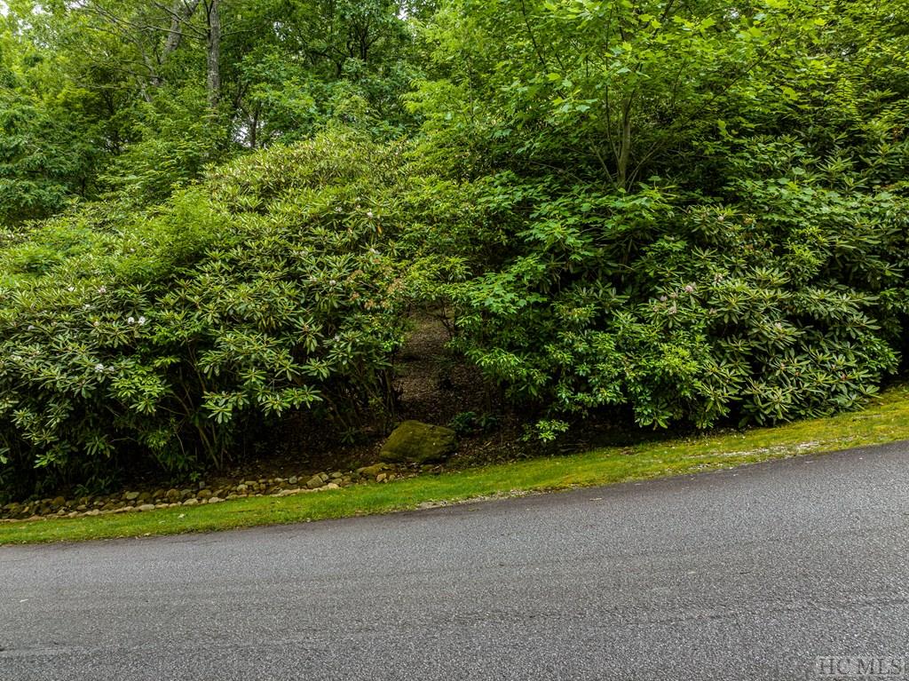 Lot 23 Highgate Road Highlands, NC 28741 - Photo 3 of 14 Gallery Image 3