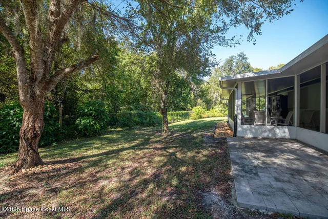 a view of a yard with plants and a large tree