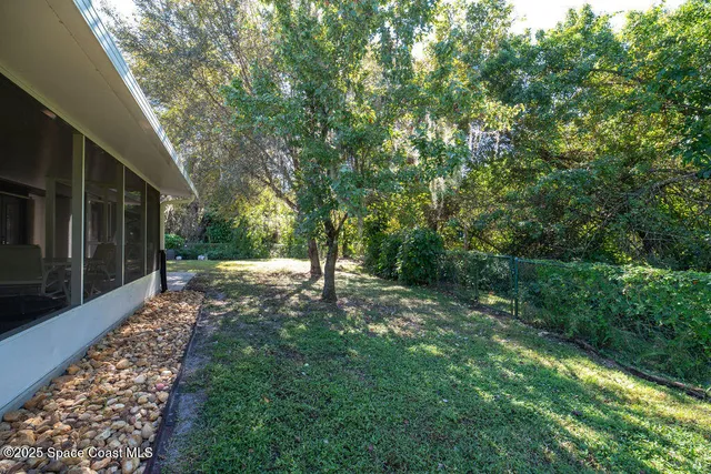 a view of a yard with trees