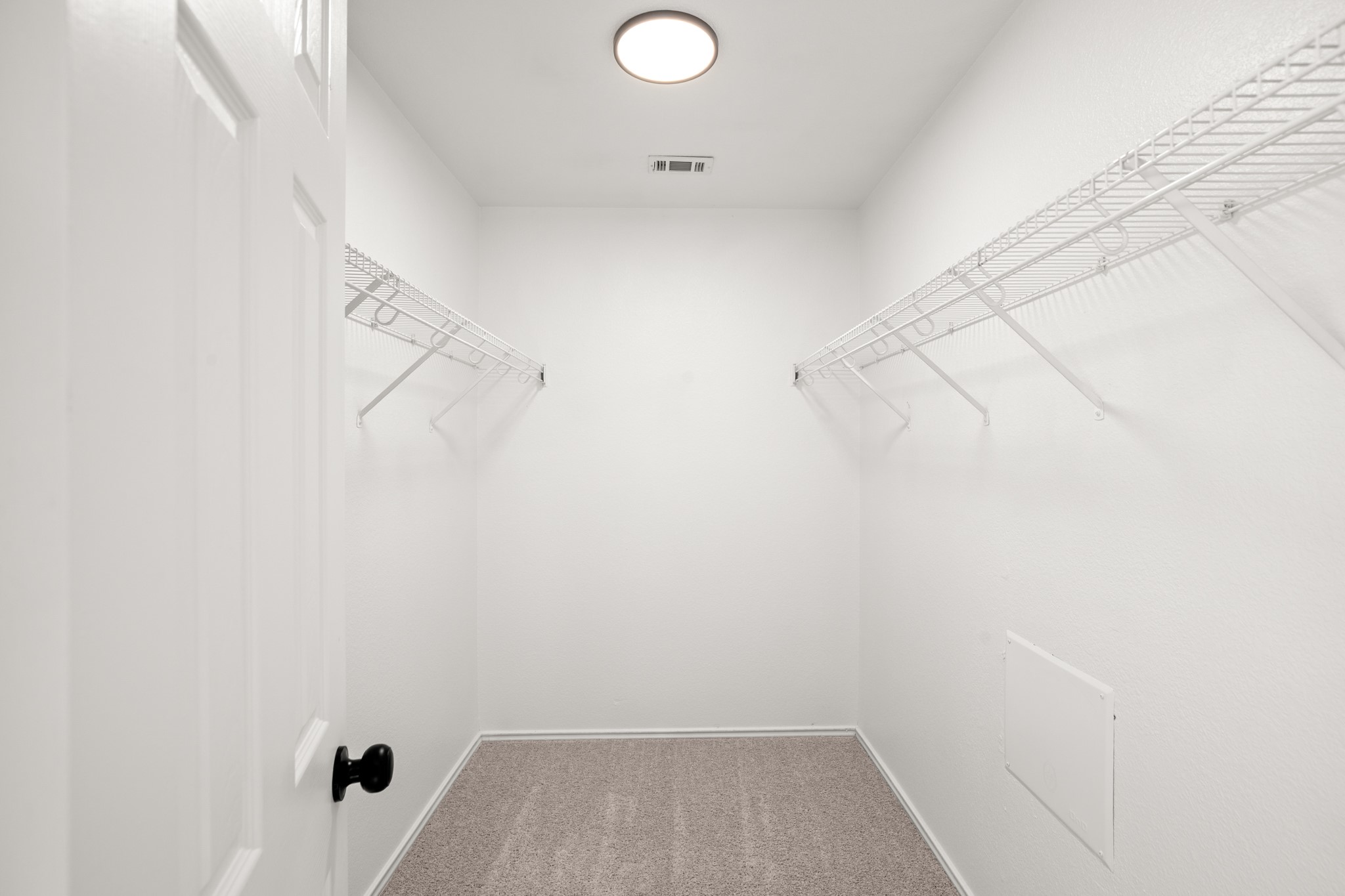 360 Sampson Kyle, TX 78640 - Photo 14 of 36 Interior walk-in closet featuring light gray carpet, white walls, and built-in wire shelving