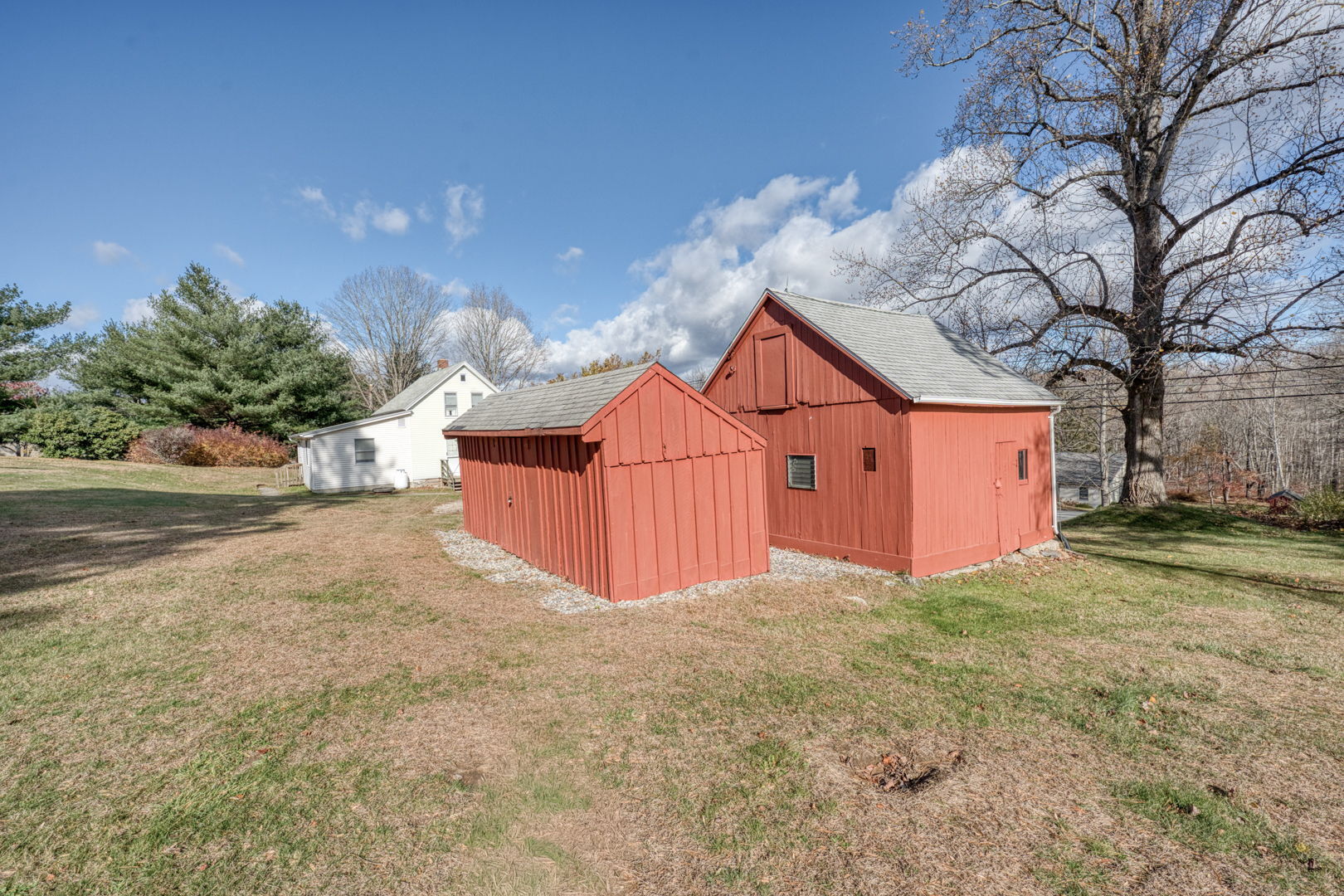 287 Maple Road Mansfield, CT 06268 - Photo 30 of 38 a view of a house with a yard and large tree