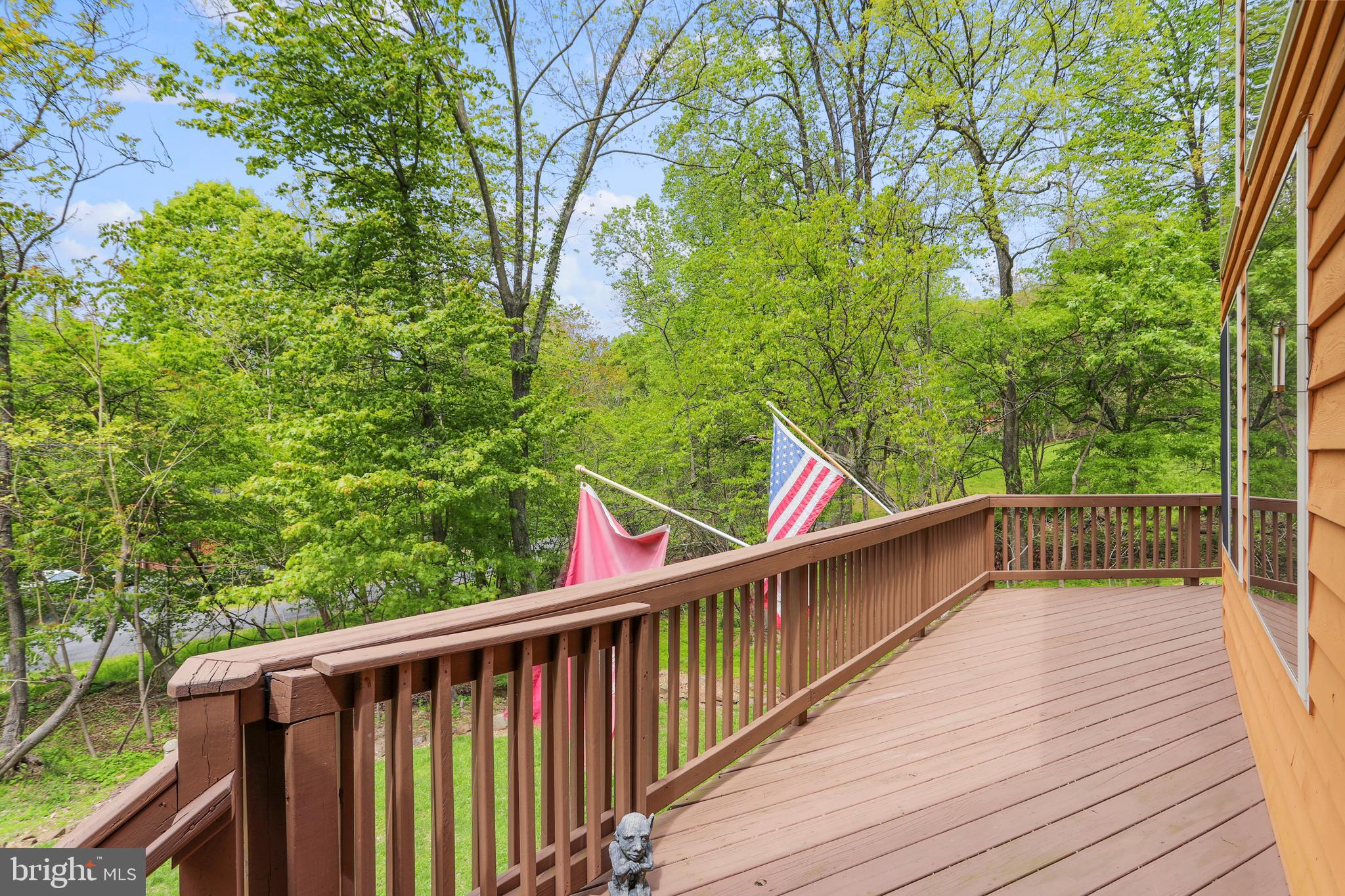 547 Greenfield Road Front Royal, VA 22630 - Photo 19 of 56 Wrap around deck