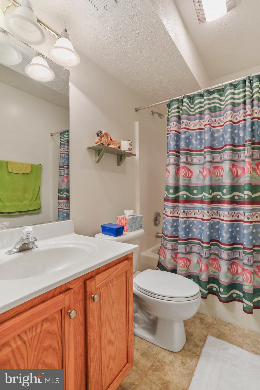 547 Greenfield Road Front Royal, VA 22630 - Photo 41 of 56 basement full bath