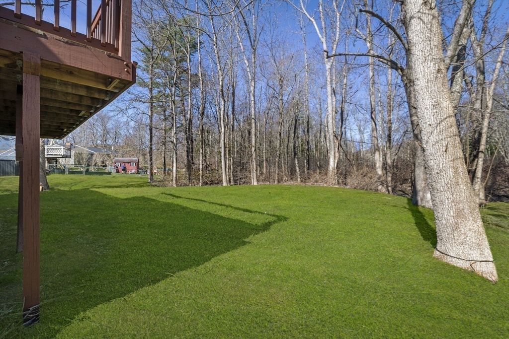 6 True Road Salisbury, MA 01952 - Photo 36 of 40 a view of a backyard with large trees