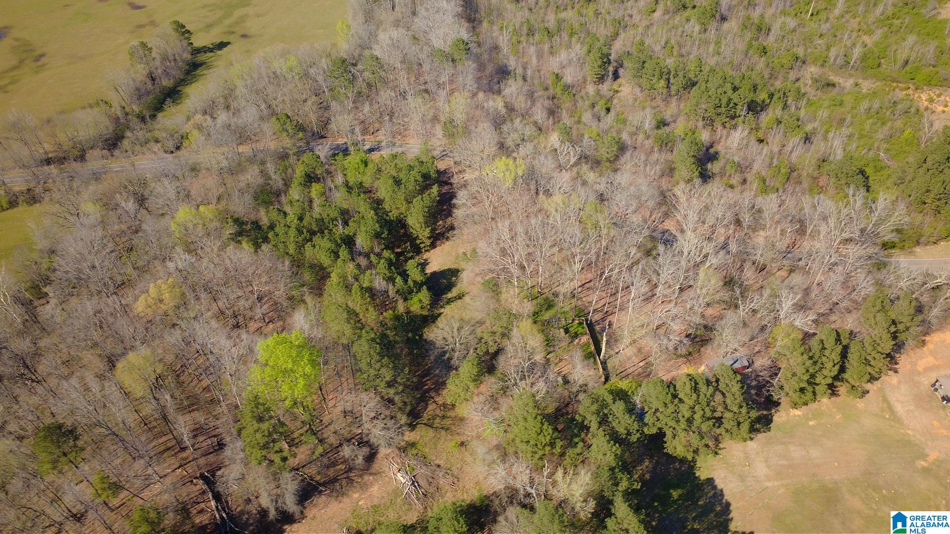 3590 Lindsey Loop Road Bessemer, AL 35022 - Photo 11 of 21 Gallery Image 11