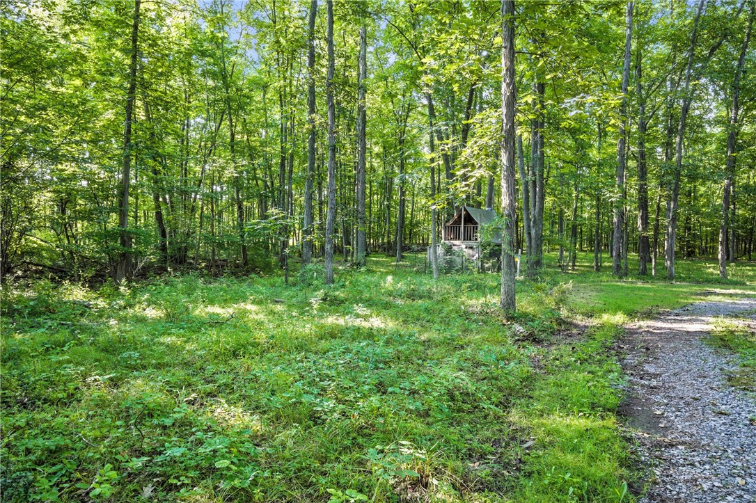 0 Silsbee Road Hammondsport, NY 14840 - Photo 3 of 10