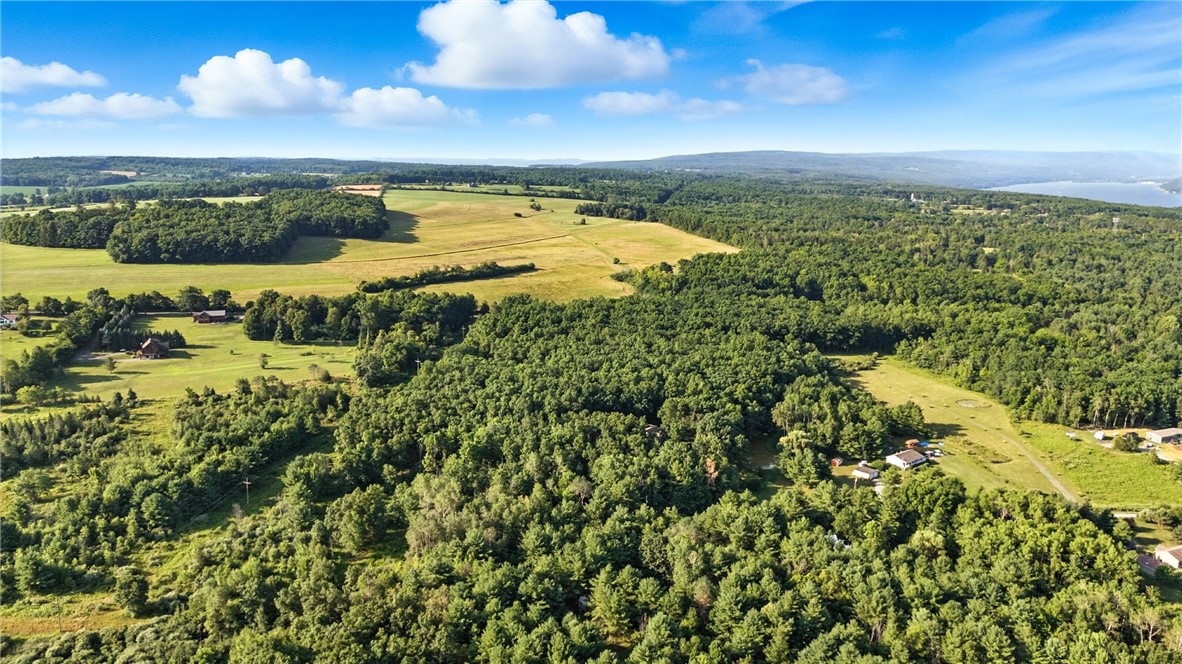 0 Silsbee Road Hammondsport, NY 14840 - Photo 6 of 10
