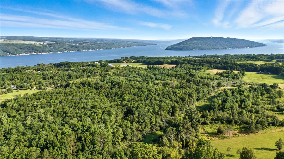 0 Silsbee Road Hammondsport, NY 14840 - Photo 7 of 10