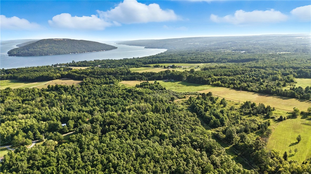 0 Silsbee Road Hammondsport, NY 14840 - Photo 8 of 10