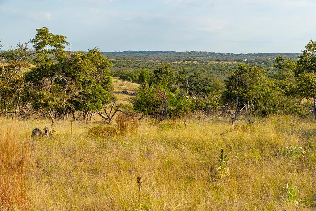 4551 Reeh Road Fredericksburg, TX 78624 - Photo 23 of 69 Gallery Image 23