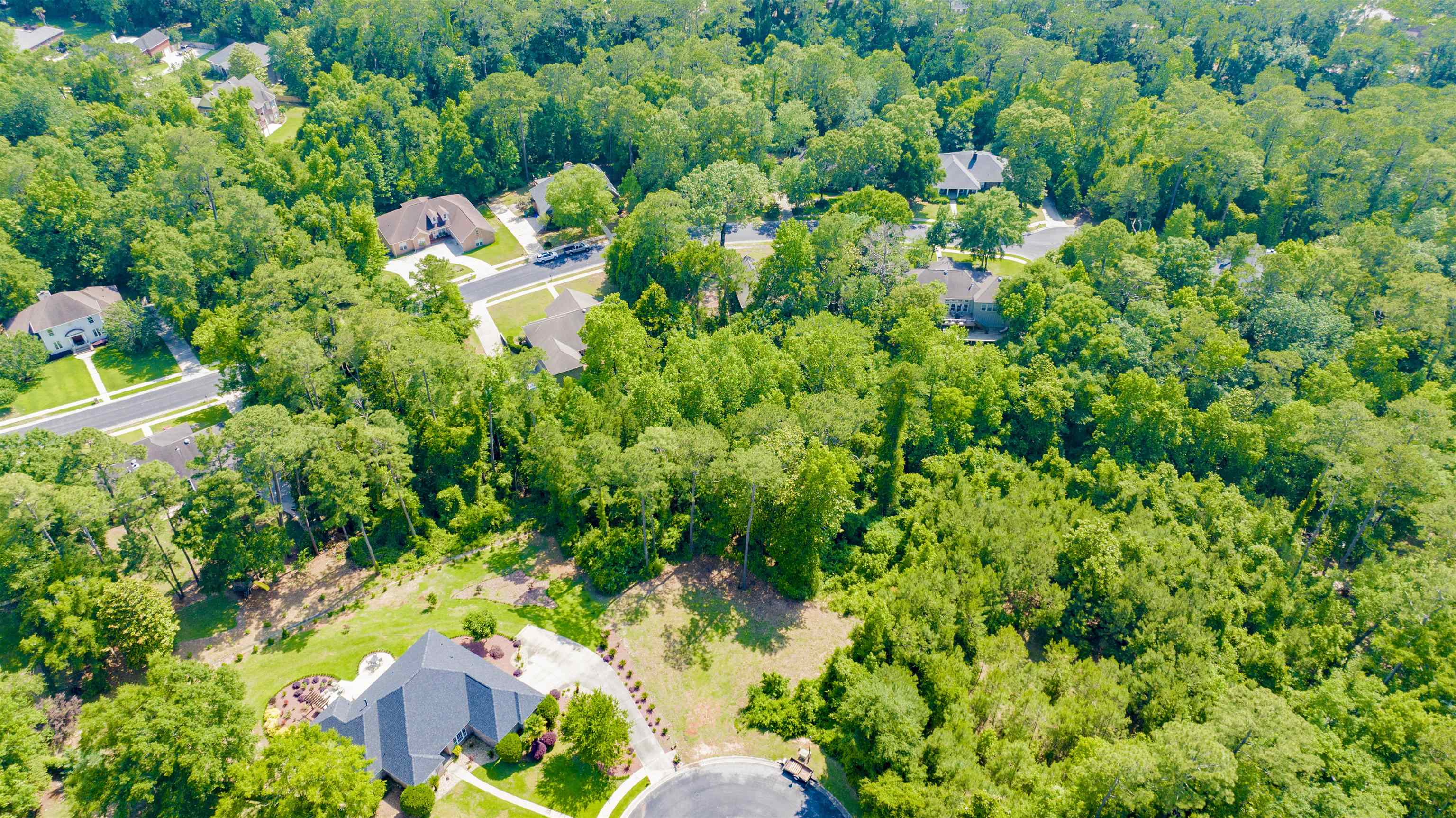 9 Judd Trail Daphne, AL 36527 - Photo 11 of 13