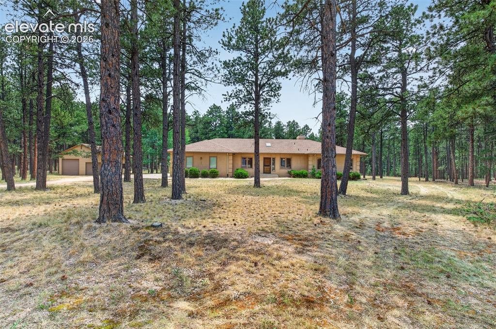 155 Pontiac Loop Monument, CO 80132 - Photo 2 of 50