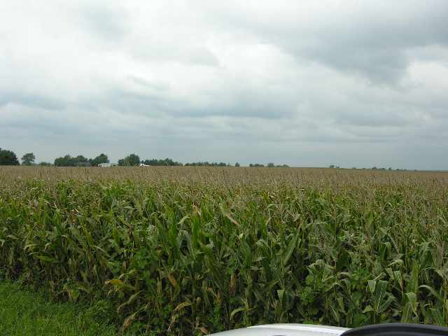 0 Cooper Road Deer Creek, IL 61733 - Photo 1 of 2 Gallery Image 1