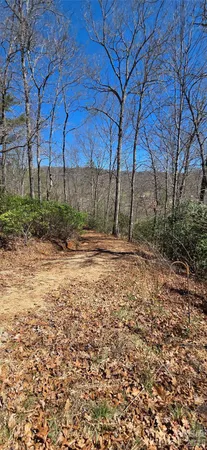 $69,000 | 90 South Kimiko Lane, Unit 30&31, Balsam Grove, NC 28708