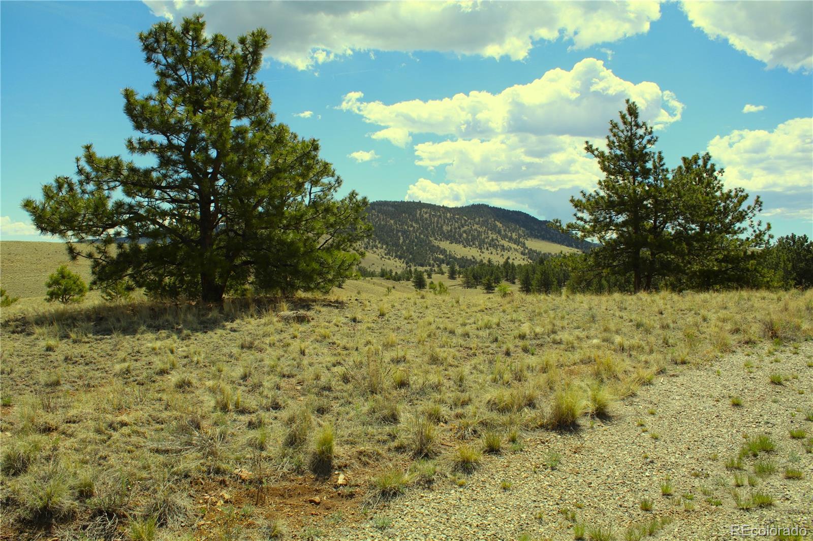 60 Hill Road Hartsel, CO 80449 - Photo 9 of 15